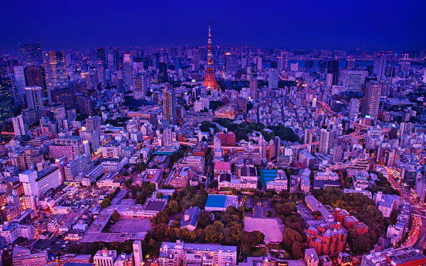 Nighttime cityscape of Tokyo featuring the illuminated Tokyo Tower amidst skyscrapers and buildings, captured in high-definition for a vibrant desktop wallpaper background.