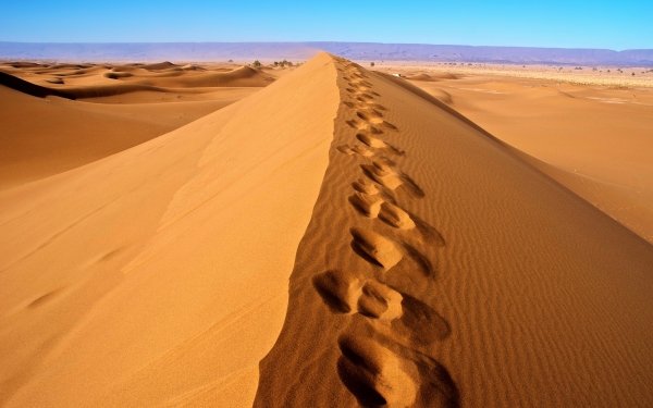 Nature Desert Algeria Africa Dune Sand Sahara Footprint HD Wallpaper | Background Image