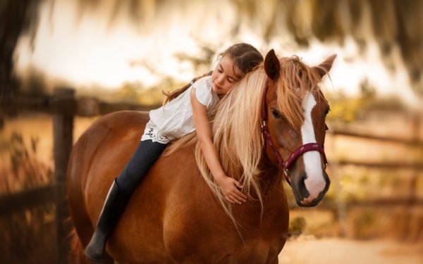 Photography Child Little Girl Horse Depth Of Field HD Wallpaper | Background Image