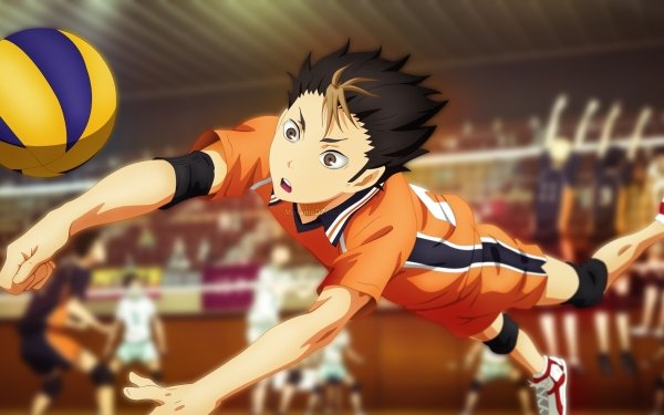 Обои на пк haikyuu