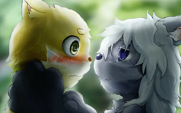 2K Quad HD anime-style desktop wallpaper of two original anthropomorphic cats — a blushing yellow cat with green eyes and a fluffy gray cat with purple eyes, nose-to-nose in a soft forest.