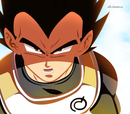 HD PC desktop wallpaper featuring Vegeta from Dragon Ball Z in a dynamic anime style.