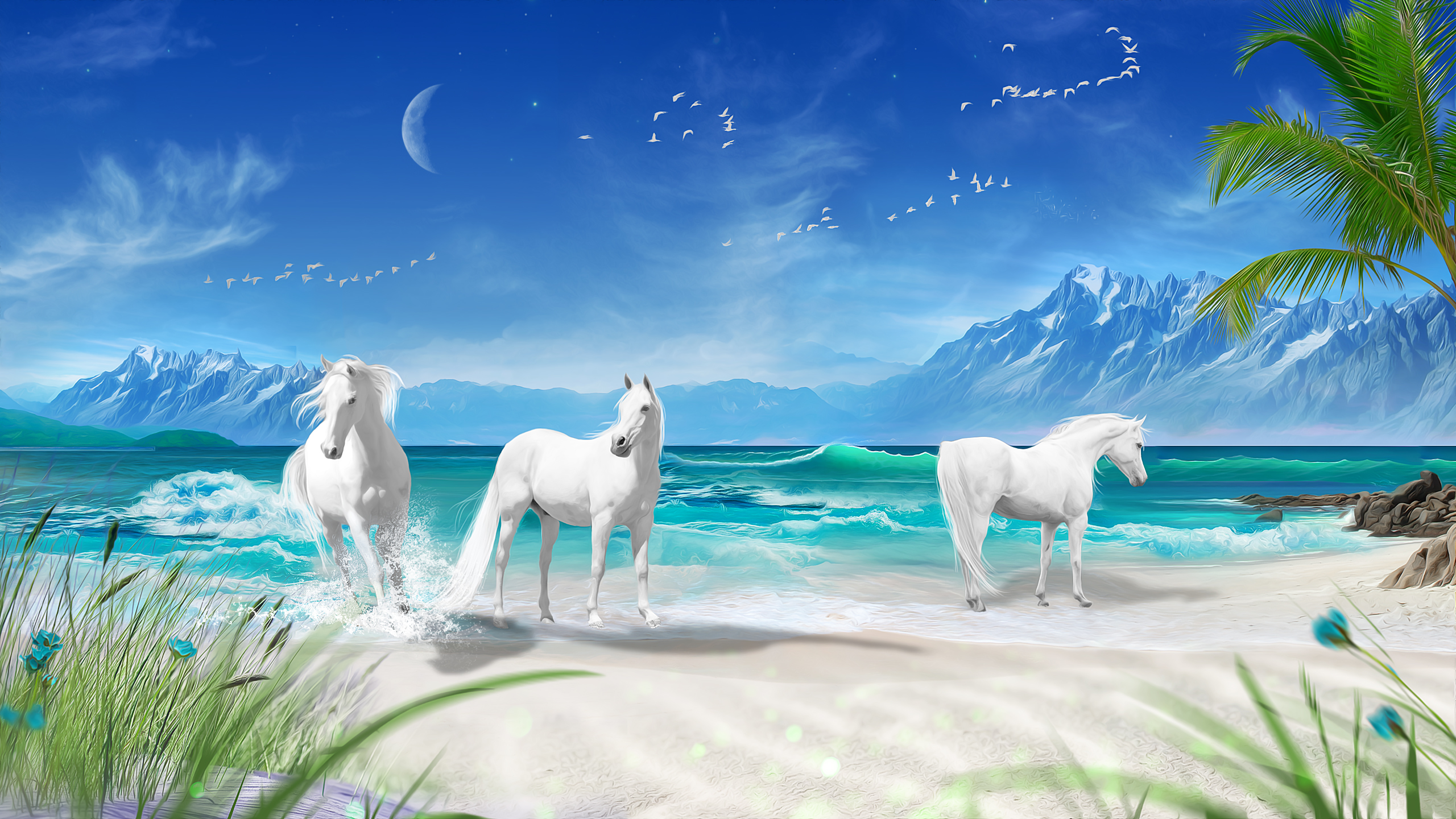 Fantasy Horse HD Wallpaper | Background Image