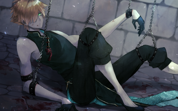 Anime Fate/Grand Order Fate Series Robin Hood HD Wallpaper | Background Image