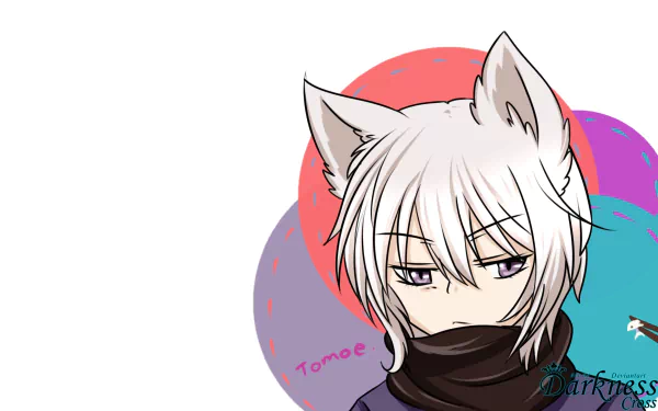 Tomoe (Kamisama Kiss) Anime Kamisama Kiss HD Desktop Wallpaper | Background Image