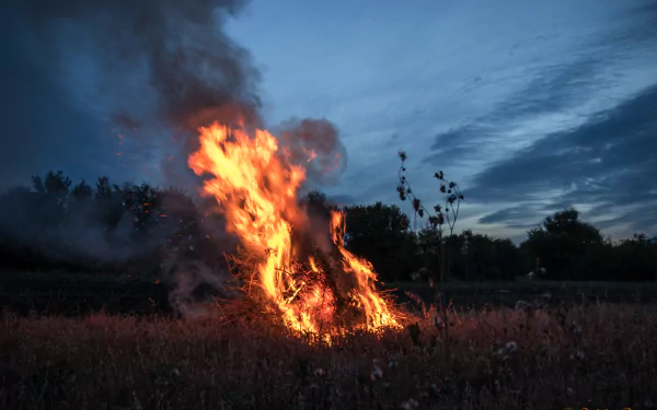 4K Ultra HD photography of vibrant fire blazing in a dark field under a moody evening sky, captured with sharp detail for a striking PC desktop wallpaper.