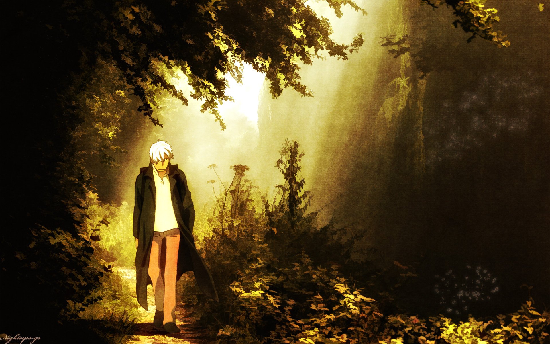HD PC desktop wallpaper: solitary white-haired figure in a long coat stands in a golden sunlit forest clearing, light shafts cutting through mossy trees and rocks.