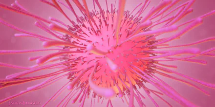 artistic bacteria HD Desktop Wallpaper | Background Image