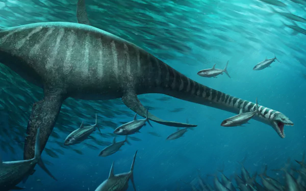 fantasy sea monster HD Desktop Wallpaper | Background Image