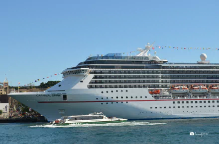  The Carnival Spirit in Sydney Harbour Australia