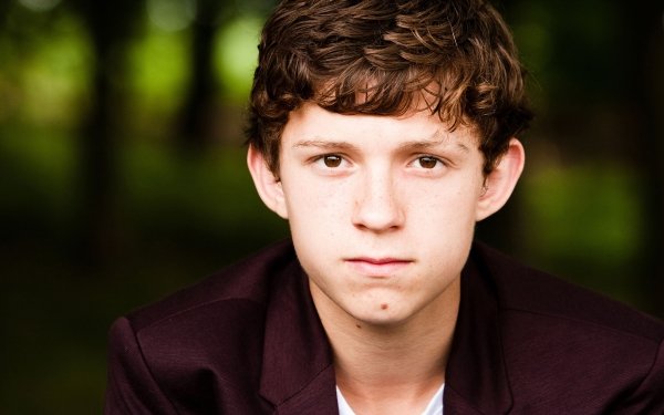 Celebrity Tom Holland Actor Face English HD Wallpaper | Background Image