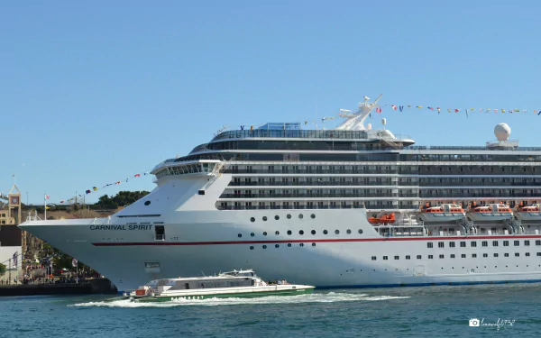  The Carnival Spirit in Sydney Harbour Australia
