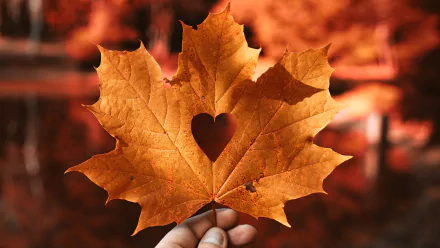  Maple Leaf