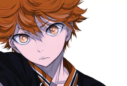 HD PC desktop wallpaper showcasing Shōyō Hinata from the anime Haikyū!! with intense amber eyes and vibrant orange hair against a clean white background.