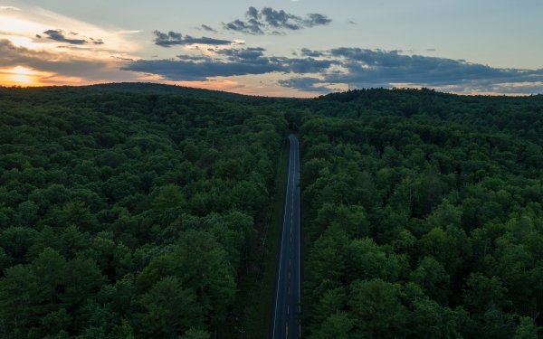 Man Made Road Nature Aerial Forest HD Wallpaper | Background Image