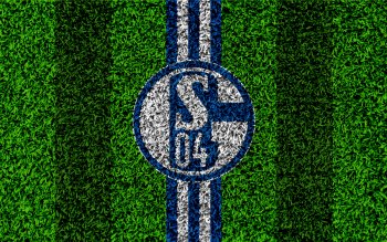 33 Fc Schalke 04 Hd Wallpapers Background Images Wallpaper Abyss