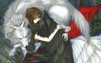 135 Vampire Knight Hd Wallpapers Background Images