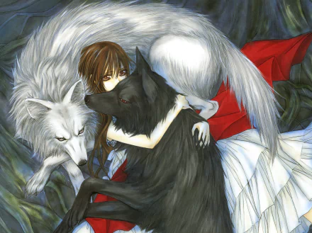 HD desktop wallpaper of Yuki Kuran/Yuki Cross from Vampire Knight, embracing a black and white wolf with a mysterious forest background.