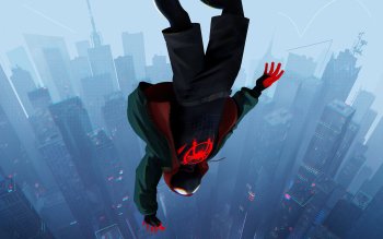 262 Spider Man Into The Spider Verse Hd Wallpapers