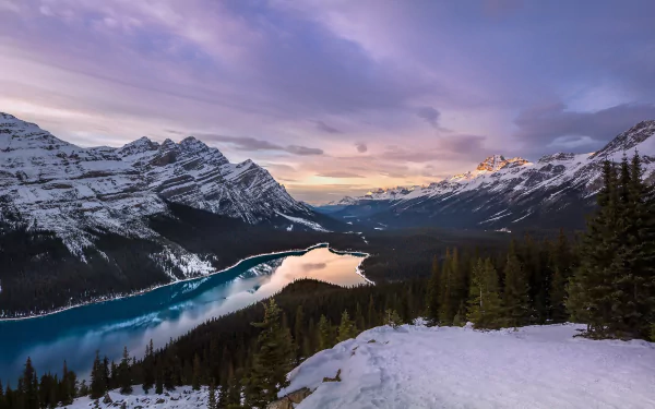 Canada valley forest mountain landscape nature lake peyto lake HD Desktop Wallpaper | Background Image