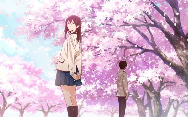 Anime I Want To Eat Your Pancreas Sakura Yamauchi Haruki Shiga HD Wallpaper | Background Image