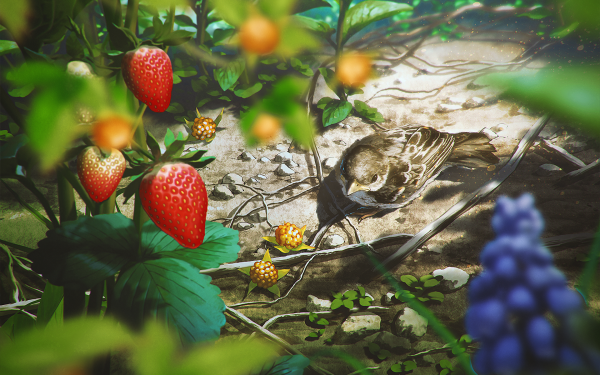 Anime Animal Strawberry Bird HD Wallpaper | Background Image