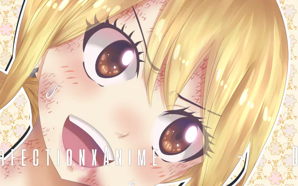 Lucy Heartfilia Anime Fairy Tail HD Desktop Wallpaper | Background Image