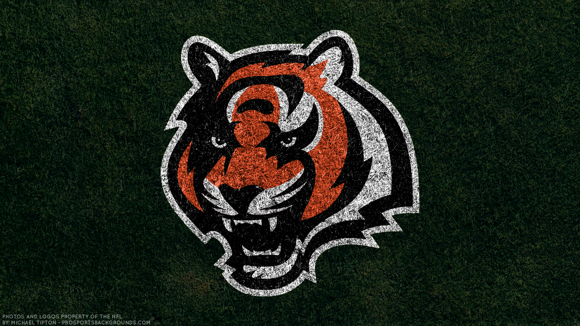 Sports Cincinnati Bengals HD Wallpaper