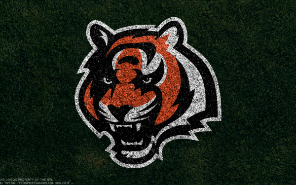 Sports Cincinnati Bengals Football NFL Logo Emblem HD Wallpaper | Background Image