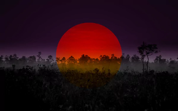A surreal 4K Ultra HD desktop wallpaper featuring a dark forest silhouette with a large, vibrant red sun manipulated into the twilight sky.
