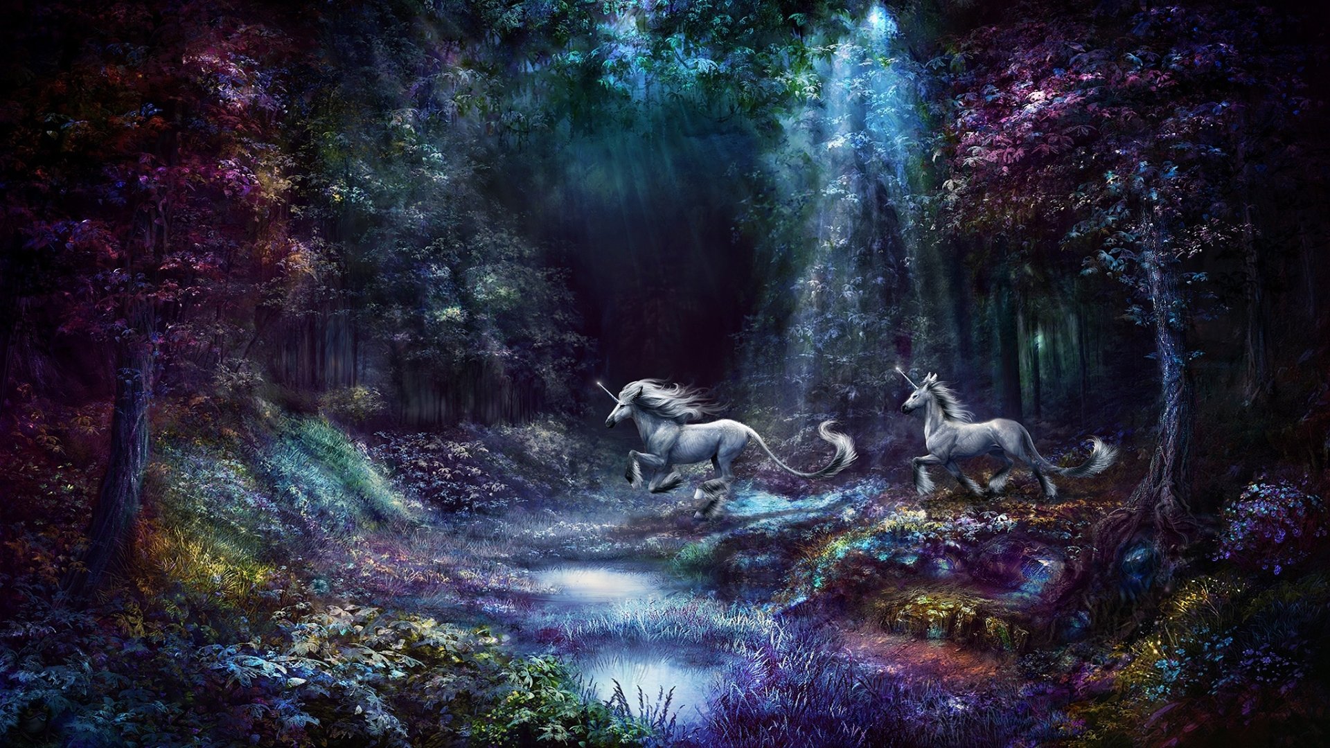 Download Sunbeam Forest Fantasy Unicorn HD Wallpaper