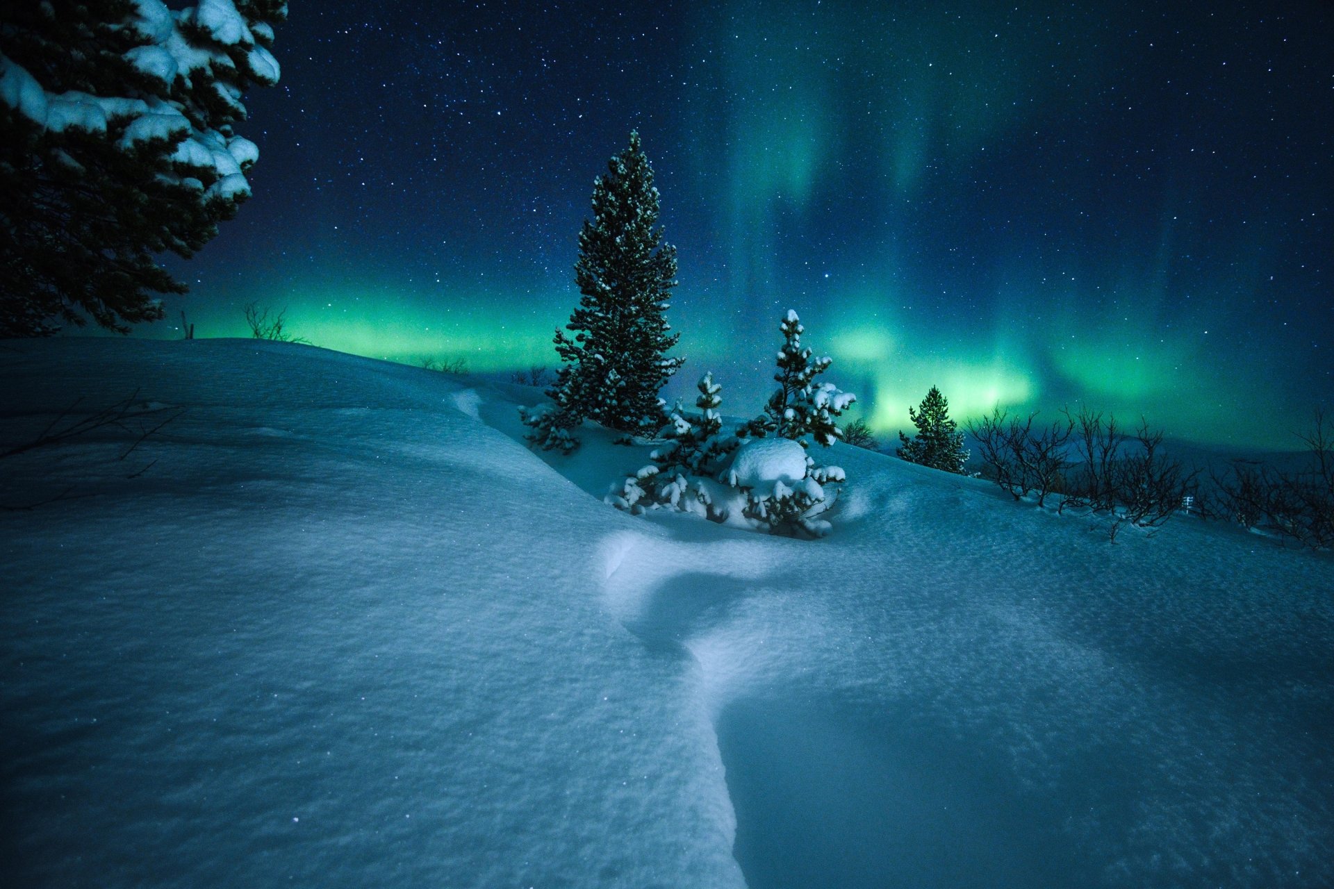 Aurora Stars Over A Snowy Winter Night HD Nature Wallpaper 