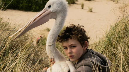 movie Storm Boy (2019) HD Desktop Wallpaper | Background Image