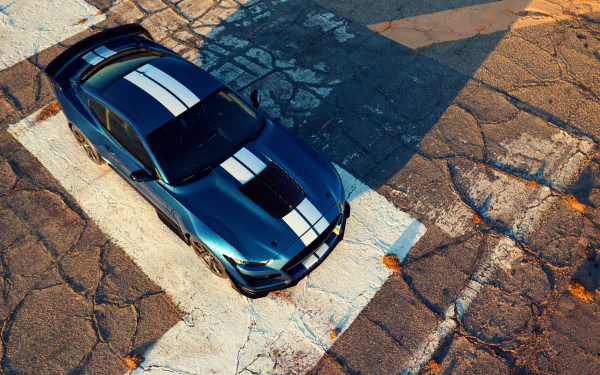 muscle car car Ford Ford Mustang Ford Mustang Shelby vehicle Ford Mustang Shelby GT500 HD Desktop Wallpaper | Background Image