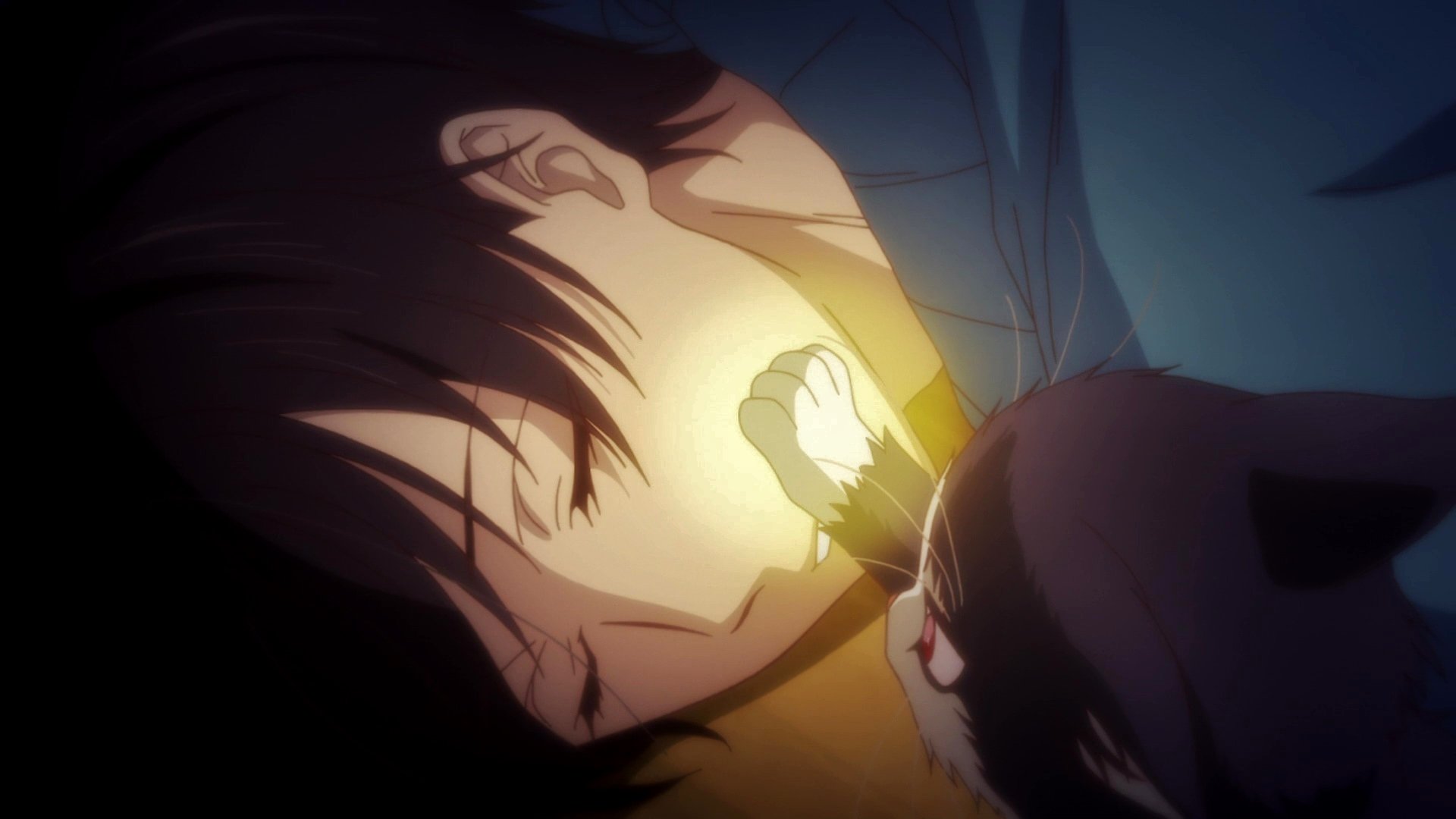 HD PC desktop wallpaper: Anime My Roommate is a Cat — warm-lit close-up of a sleeping person as a small cat gently nuzzles their face with a paw.