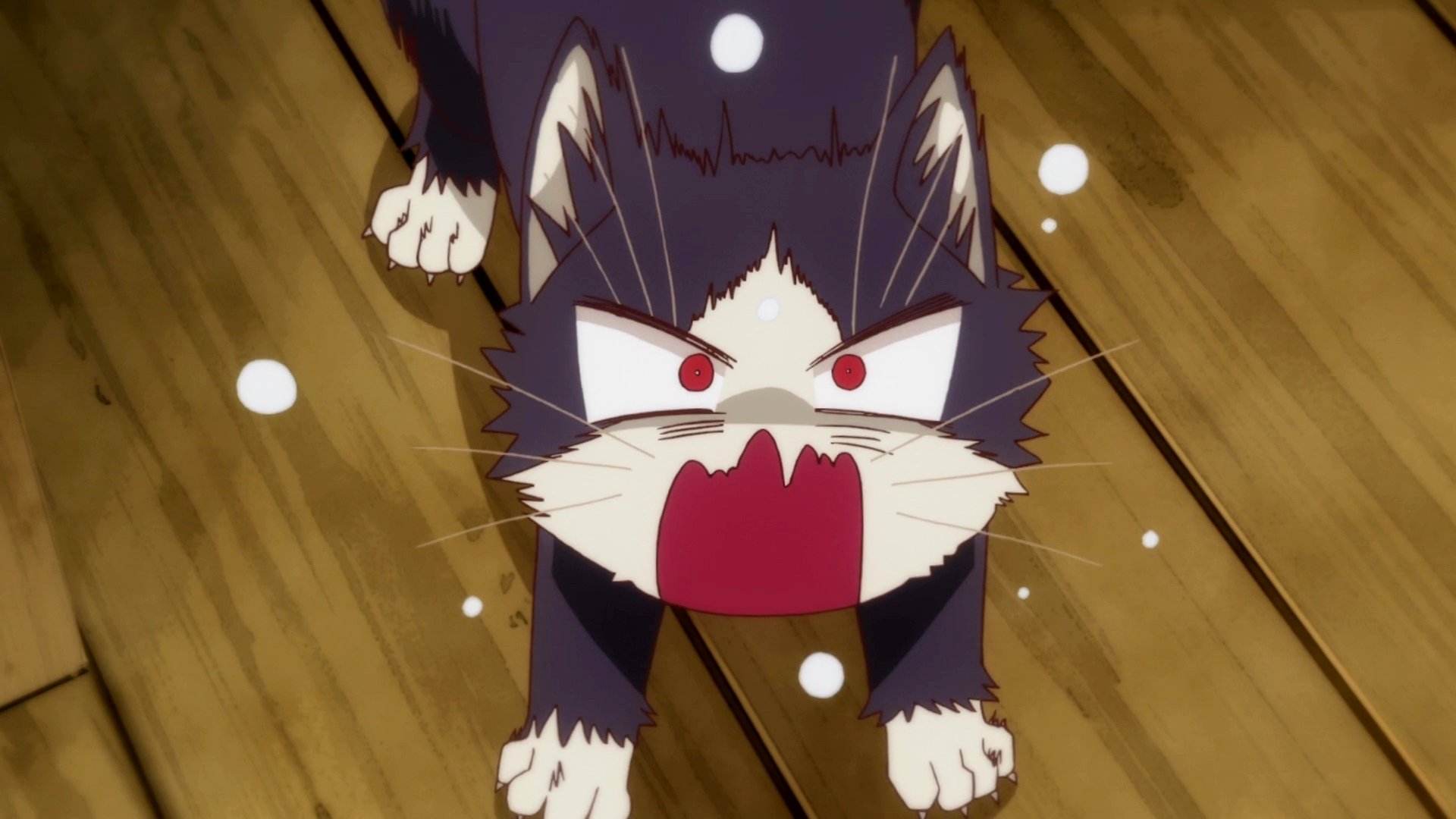 Download Anime My Roommate Is A Cat HD Wallpaper