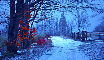  Digital oil painting - Winter Road by Brigitte Werner