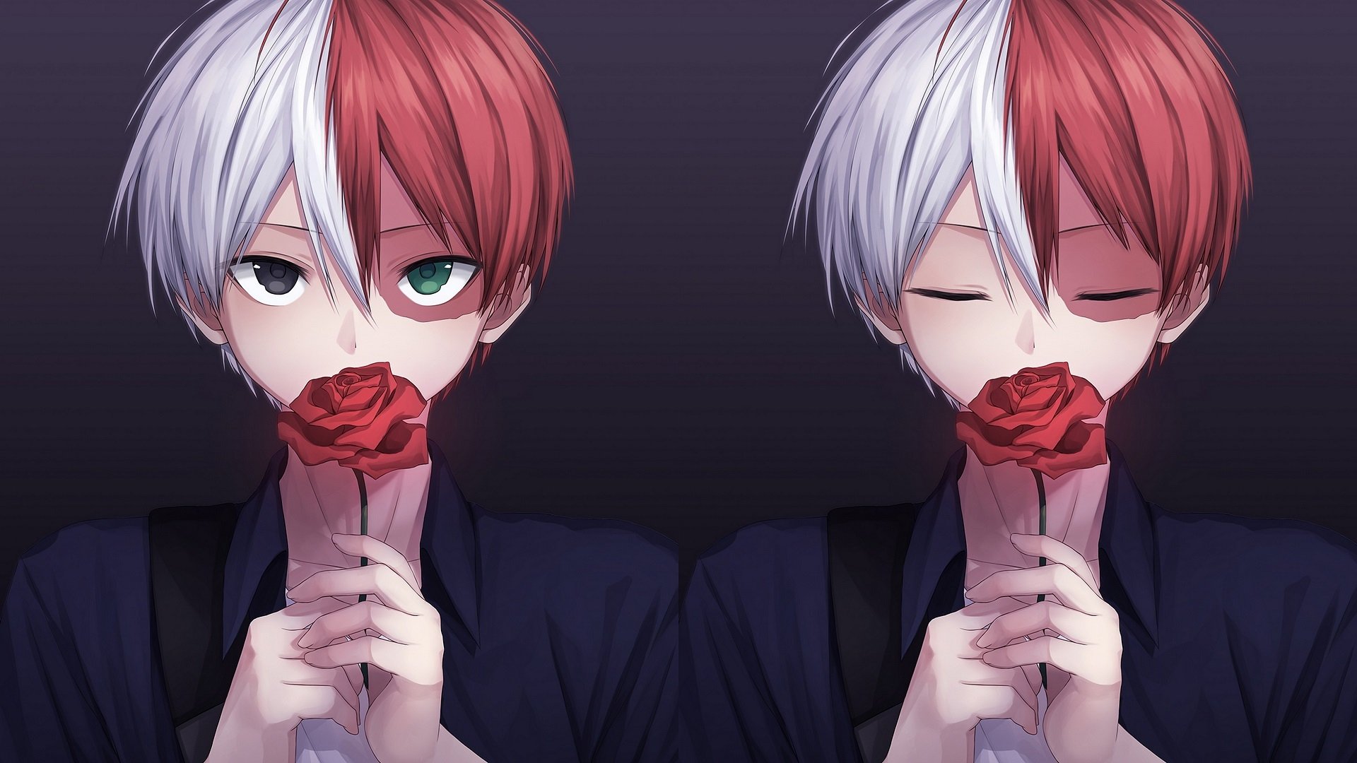 HD PC desktop wallpaper of Shoto Todoroki from My Hero Academia, featuring dual portraits with red and white hair holding a red rose against a dark background.