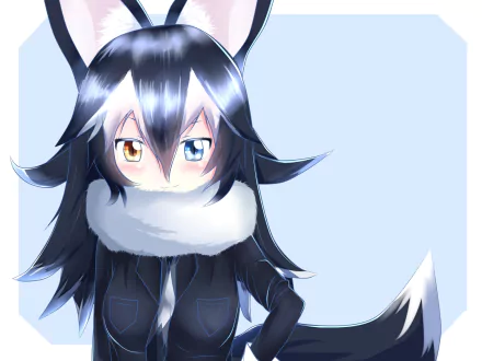 Anime-style Gray Wolf character from Kemono Friends with heterochromia, featured in a high-definition PC desktop wallpaper and background.