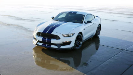 muscle car white car car Ford vehicle Ford Mustang Shelby GT350 HD Desktop Wallpaper | Background Image