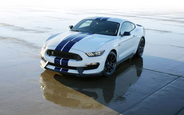 White Ford Mustang Shelby GT350 muscle car with blue racing stripes parked on wet concrete, presented as an HD PC desktop wallpaper and background.