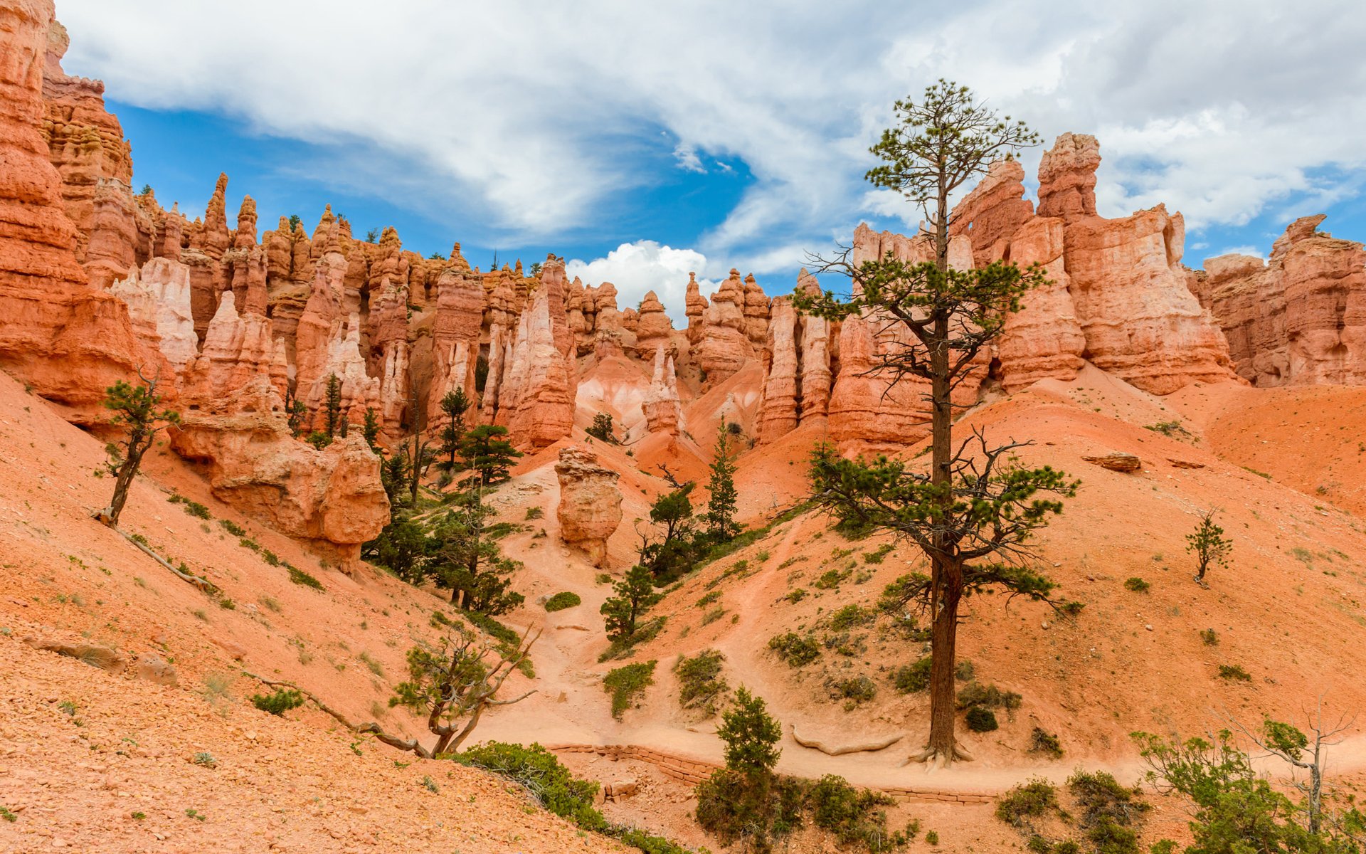 Download Desert Nature Bryce Canyon National Park 4k Ultra HD Wallpaper