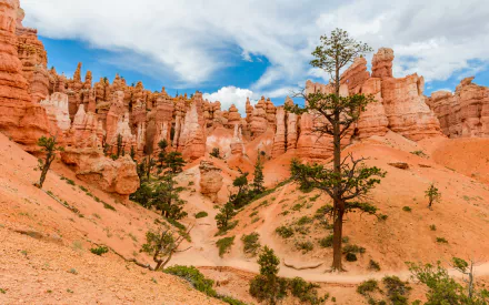 desert nature Bryce Canyon National Park HD Desktop Wallpaper | Background Image