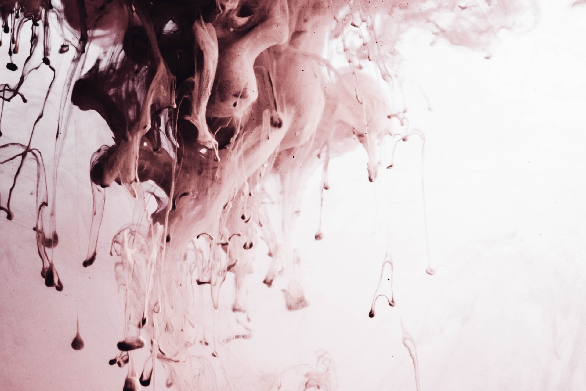 Download Brown Abstract Liquid 4k Ultra HD Wallpaper by chuttersnap