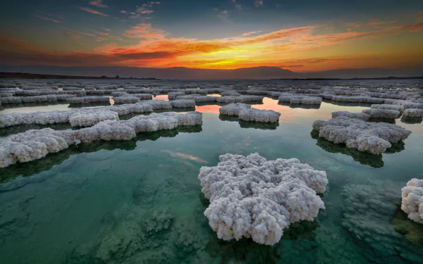  Dead Sea of Israel
