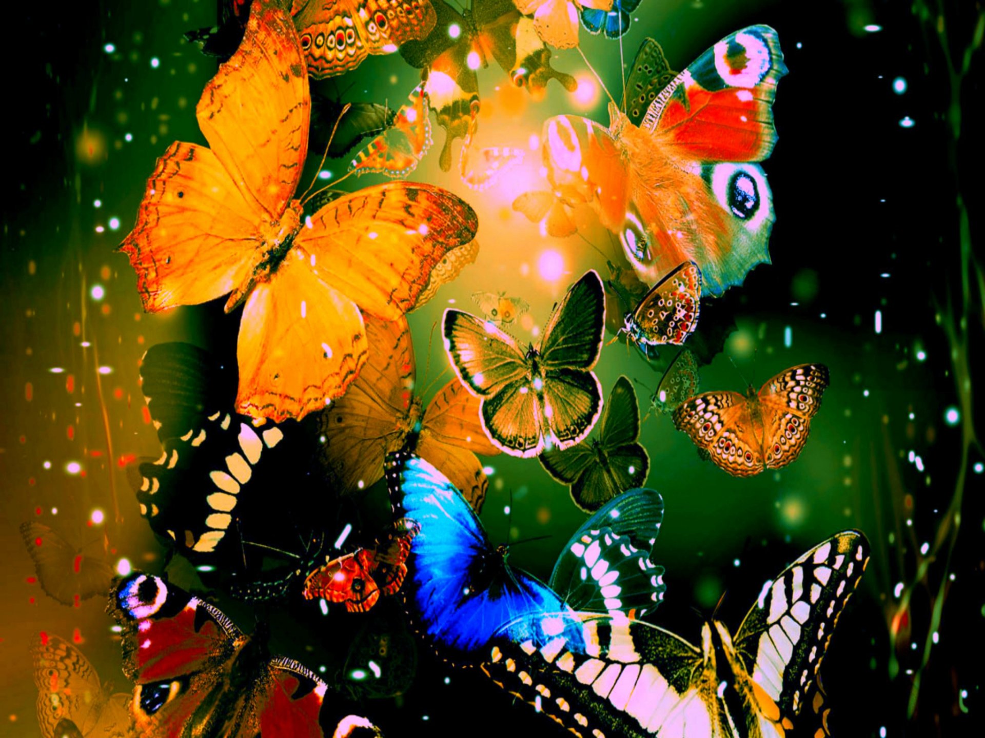 Download Colors Artistic Butterfly HD Wallpaper