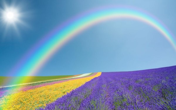 Aarde/Natuur Lente Sunshine Veld Regenboog Kleuren Zon Natuur Horizon Sunny HD Wallpaper | Achtergrond