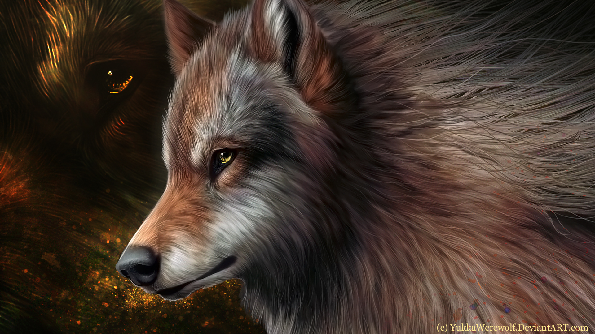 🔥 Cool Wolf Background Full HD Wallpaper Download | CBEditz