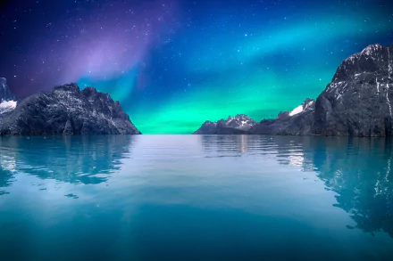 2K Quad HD PC desktop wallpaper of a nature scene: a tranquil arctic fjord beneath vivid aurora borealis—turquoise and purple lights reflecting on calm water between rugged snow-capped cliffs.