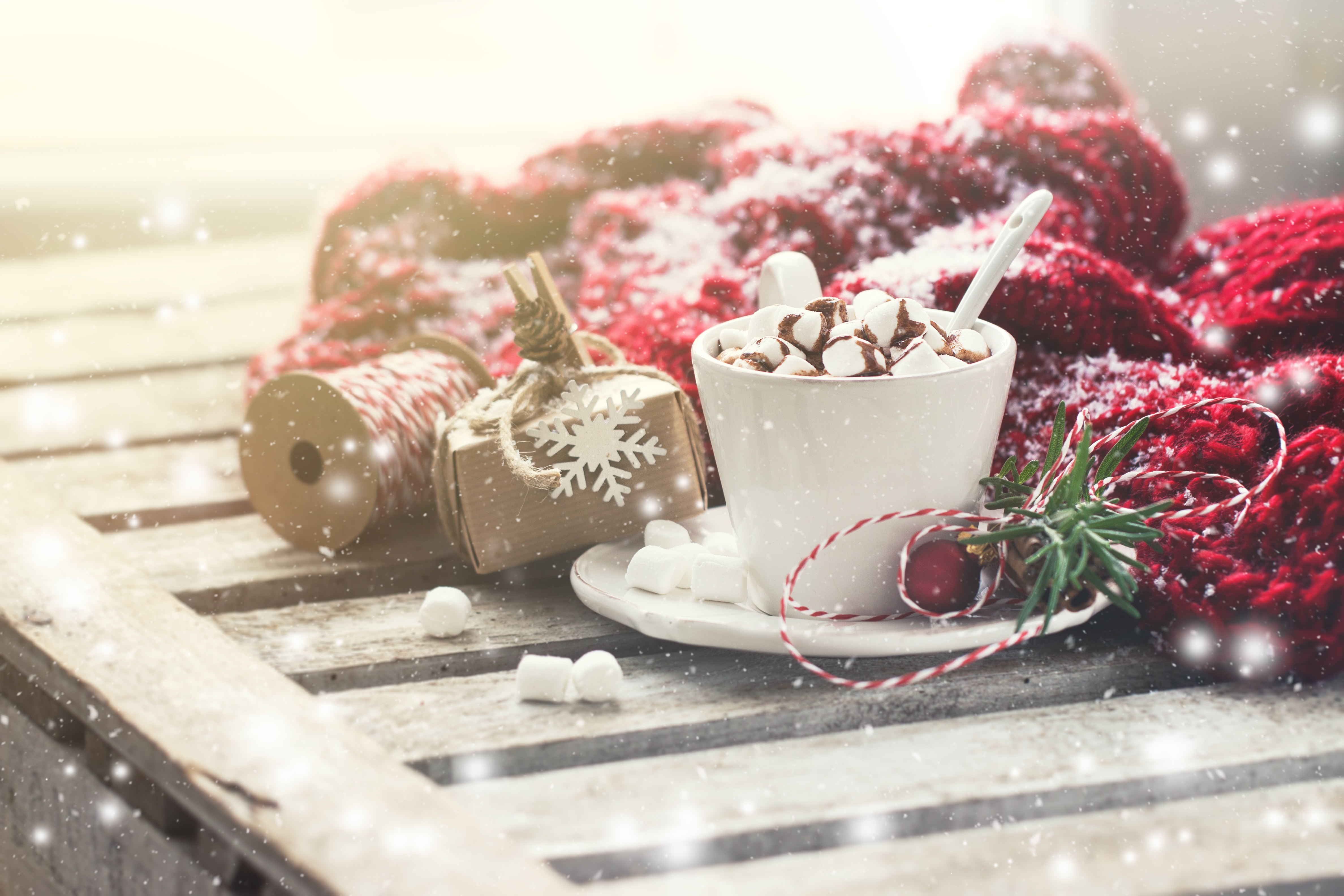 Download Still Life Marshmallow Cup Food Hot Chocolate 4k Ultra HD ...